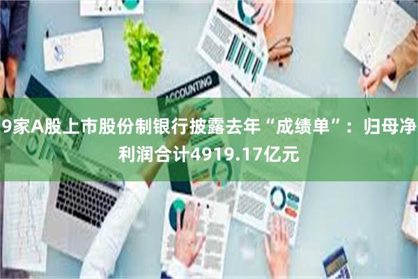 9家A股上市股份制银行披露去年“成绩单”：归母净利润合计4919.17亿元