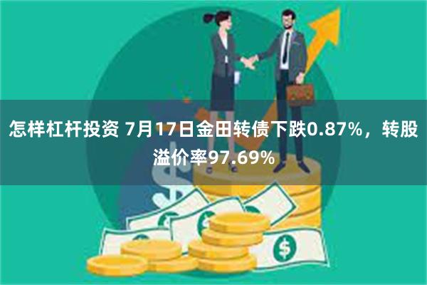 怎样杠杆投资 7月17日金田转债下跌0.87%，转股溢价率97.69%