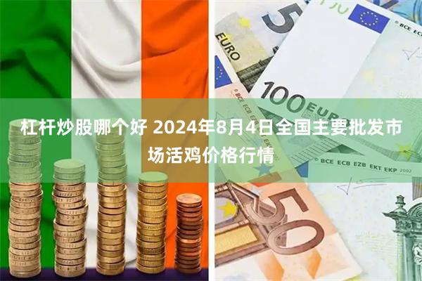 杠杆炒股哪个好 2024年8月4日全国主要批发市场活鸡价格行情