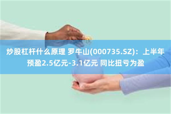 炒股杠杆什么原理 罗牛山(000735.SZ)：上半年预盈2.5亿元-3.1亿元 同比扭亏为盈