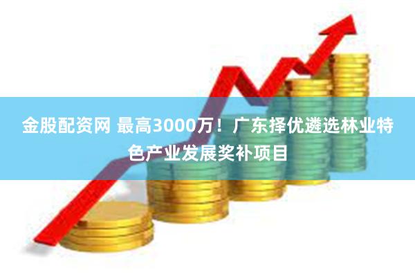 金股配资网 最高3000万！广东择优遴选林业特色产业发展奖补项目